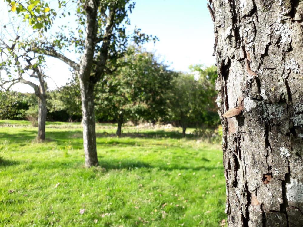 Terre De Reveries Maisoncelles-la-Jourdan Exteriér fotografie